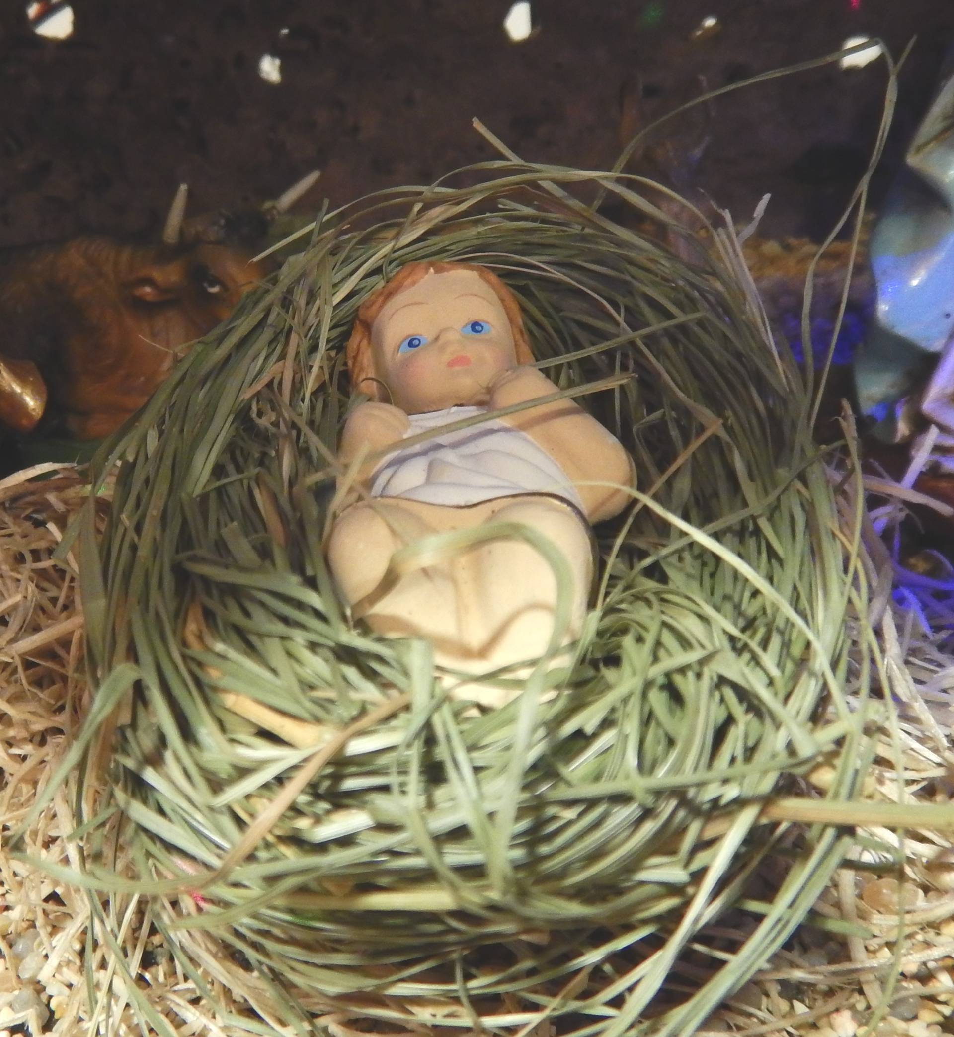 Un Bambino Gesu Arrivato Da Cracovia Per Il Presepe Di Assonautica Assonautica Savona